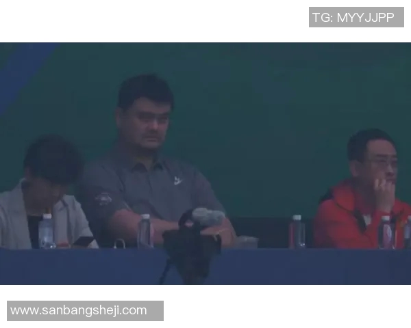 姚明现象对中国篮球发展的深远影响及其社会文化意义探讨